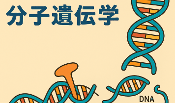 分子遺伝学