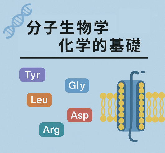 化学的基礎　K⁺チャネルの各部位に存在するアミノ酸の特徴